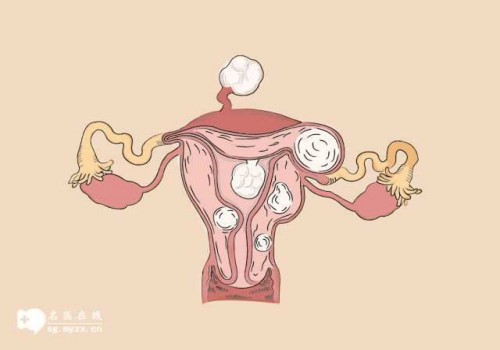 順產下邊是不是特別松,順產下邊松弛還能恢復嗎